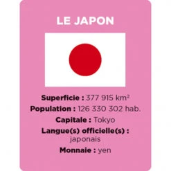 Cherche Et Trouve, Les Drapeaux - Janod -Jouets Éducatifs Boutique cherche et trouve drapeaux janod 4