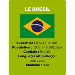 Cherche Et Trouve, Les Drapeaux - Janod -Jouets Éducatifs Boutique cherche et trouve drapeaux janod 6