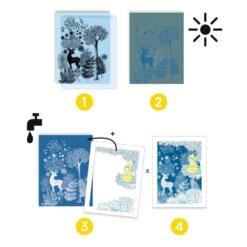 Atelier Cyanotype, Au Clair De La Lune - Djeco -Jouets Éducatifs Boutique dj9342 2