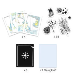 Atelier Cyanotype, Au Clair De La Lune - Djeco -Jouets Éducatifs Boutique dj9342 4