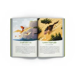 Les Dinosaures, Sur Les Traces Des Animaux Disparus - Quelle Histoire éditions -Jouets Éducatifs Boutique qh04578 2